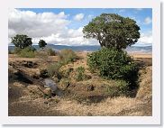 07IntoNgorongoro - 031